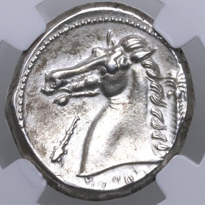 古代シシリー BC300-289 テトラドラクマ銀貨 アレキサンダー大王 ヘラクレス　NGC Ch XF